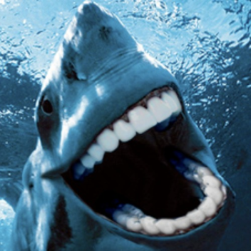 Obby but you are a shark dog.