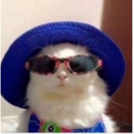 Donations for furylegendmater