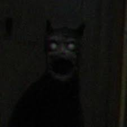 VERY SCARY GAME!!!