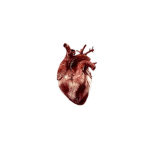 'Oyasumi