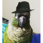 tha Bird Mafia