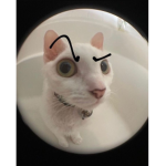 Los gatunos aestetick