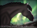 Shooting Star Stables
