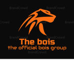 The boys (Roblox group)