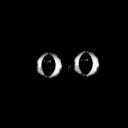Unhinged And Creepy Eyes Roblox decal
