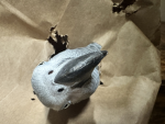 Bird in a bag