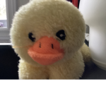 Duckduckjordan fan club