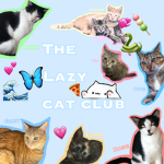 The Lazy Cat Club