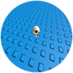 SANS (FAN special)
