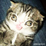oyen cute Yt