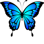 The butterfly’s :)