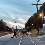 Canadian Trains