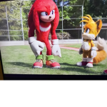 Knuckles and tails squad