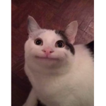 Pickle :D