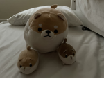 Doge fandom club