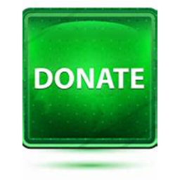 Buy the donations on the gamepass page