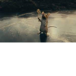 Mouse Realm