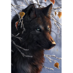 (!WolfPack!)