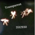 Transparent ®