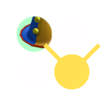 Team Wacky
