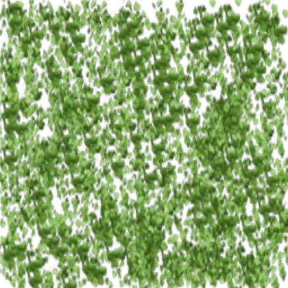 Rush particle