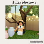 •apple blossoms•