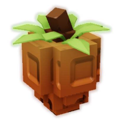 Persimmon