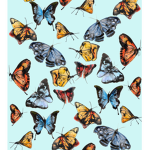 Butterfly diamonds!!