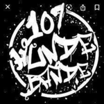 107 Hundebande- Emergency Hamburg