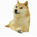 Doge Doge Army fan club
