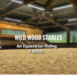 Wild Wood Stables