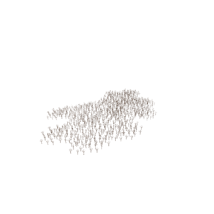 Forest with Dead Trees
