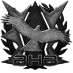 BlackHawkBrigade