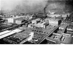 Harbour City Meat Depot.