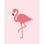 Flamingo1082
