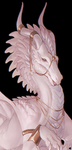 Dragons|