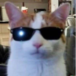 Kipona