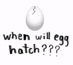 When will egg hatch