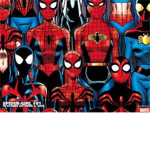 Spider Group