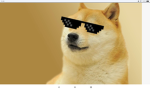 RAINBOW AND COOL DOGE