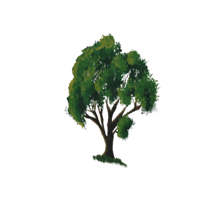 Anime Tree FIXED