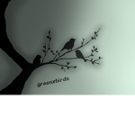 greenxbirds