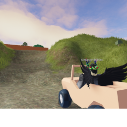 Racing in the open