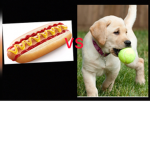 HOT DOG’S vs DOG’S