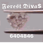 FoReSt DiVa$