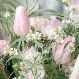 ⋆｡°✩