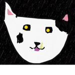 Cutie the black cat