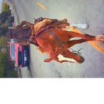 Old town Road group