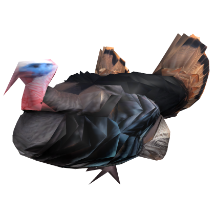 Riding a Turkey Chicken