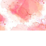 strawberry *clothes*